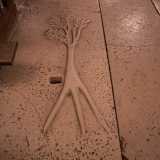 Ma le meraviglie del luogo non finiscono qui. Al centro della navata notiamo sul pavimento una lastra in pietra raffigurante un albero con tre radici e un foro...